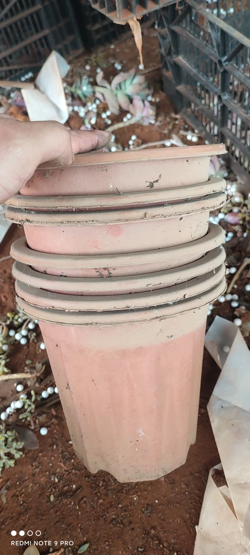 阿福多多肉福利花盆