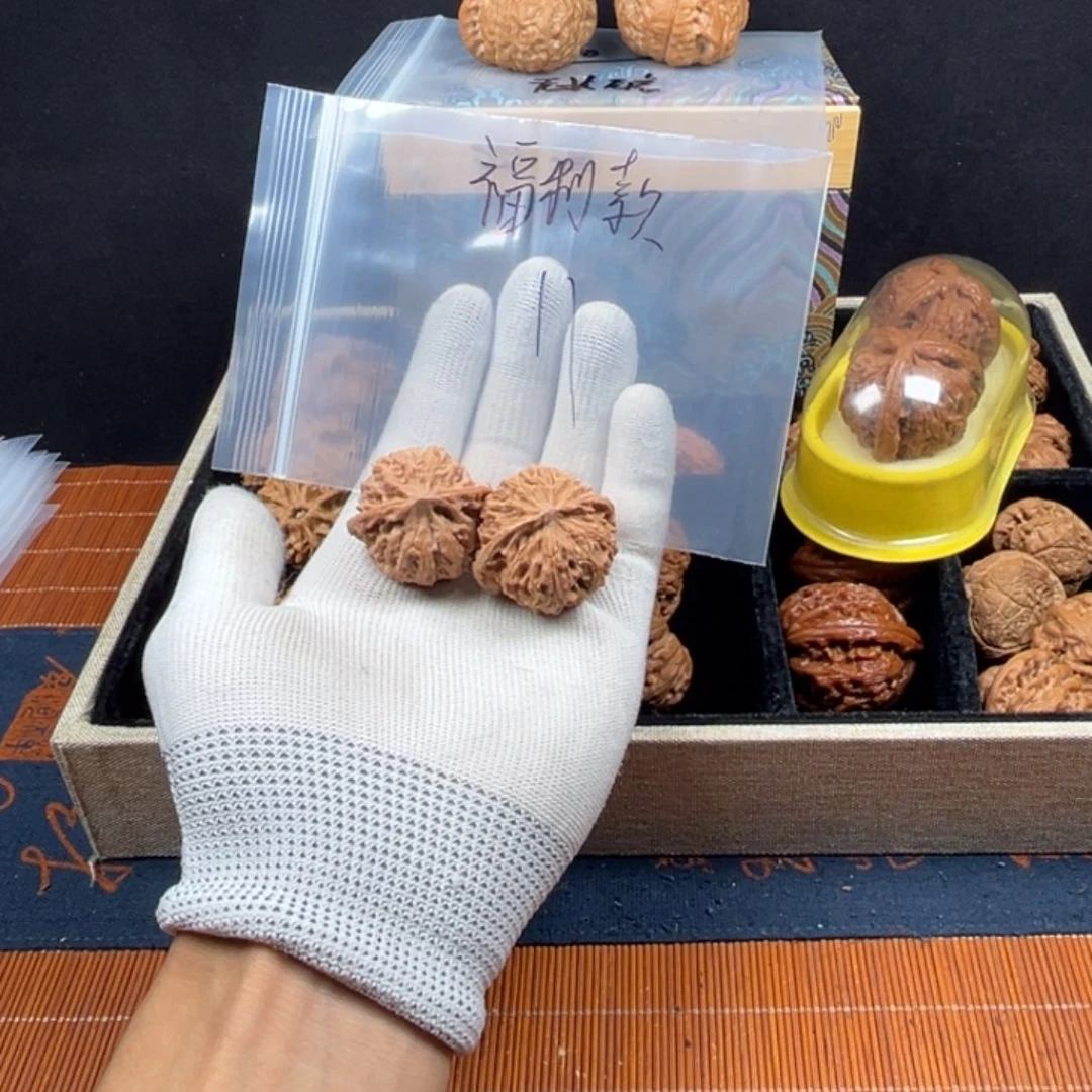 核桃哈哈哈哈哈哈哈哈哈哈