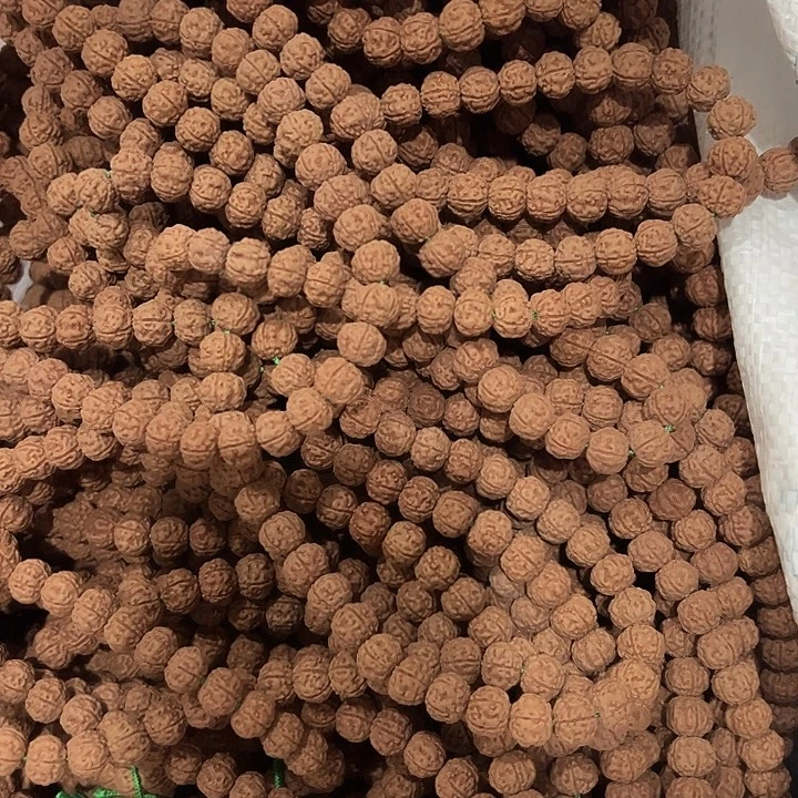 金刚菩提手串南瓜王10-11MM114颗没有钢丝刷保手持