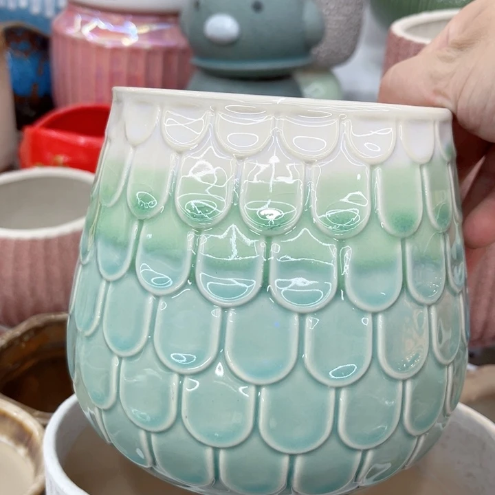 多肉植物陶瓷花盆