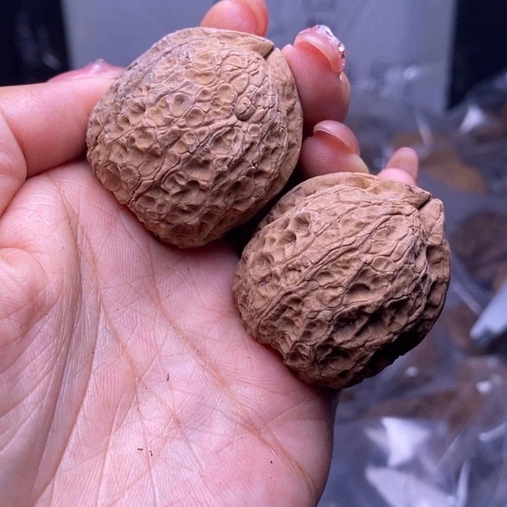 把件文玩核桃云南野生铁核桃40号39mm