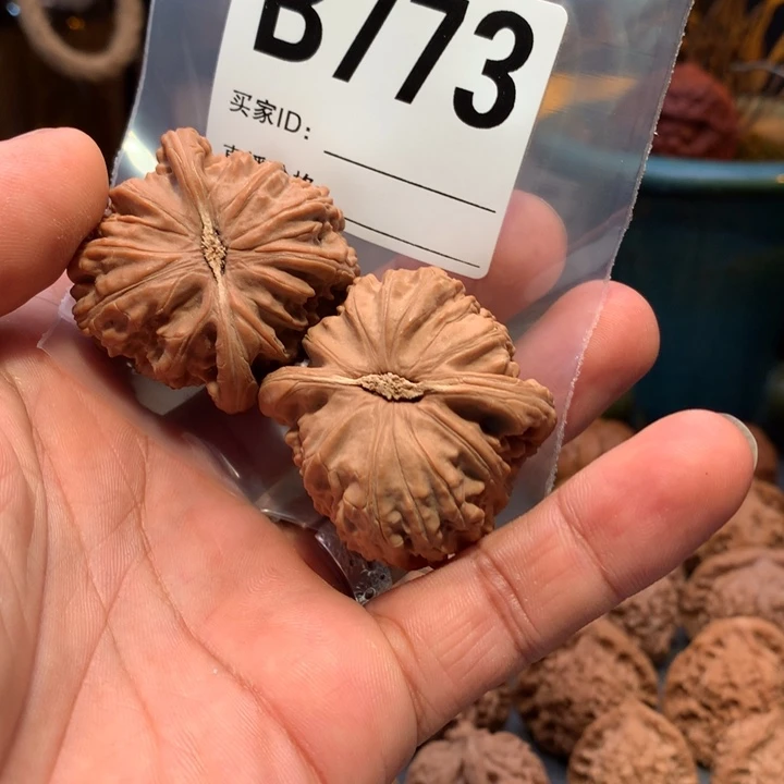 糖***猫文玩核桃把件白狮子42左右