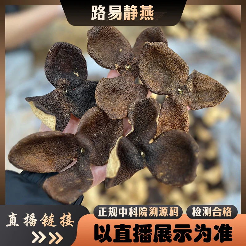 精选2018年新会梅江陈皮正宗老陈皮广东特产手工精选泡茶泡水佳品