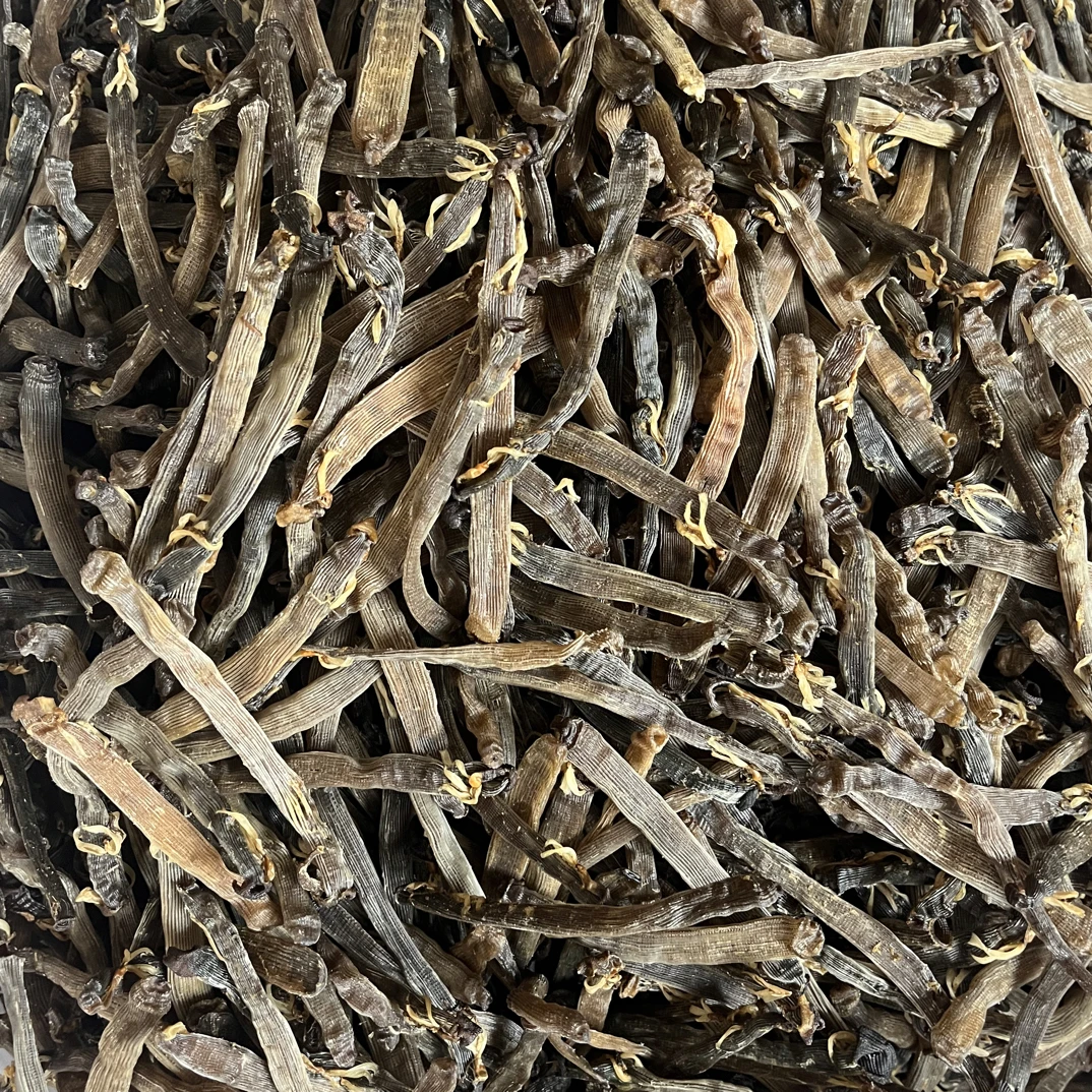 灰黄沙虫干北海特产天然沙虫干营养美味佳品