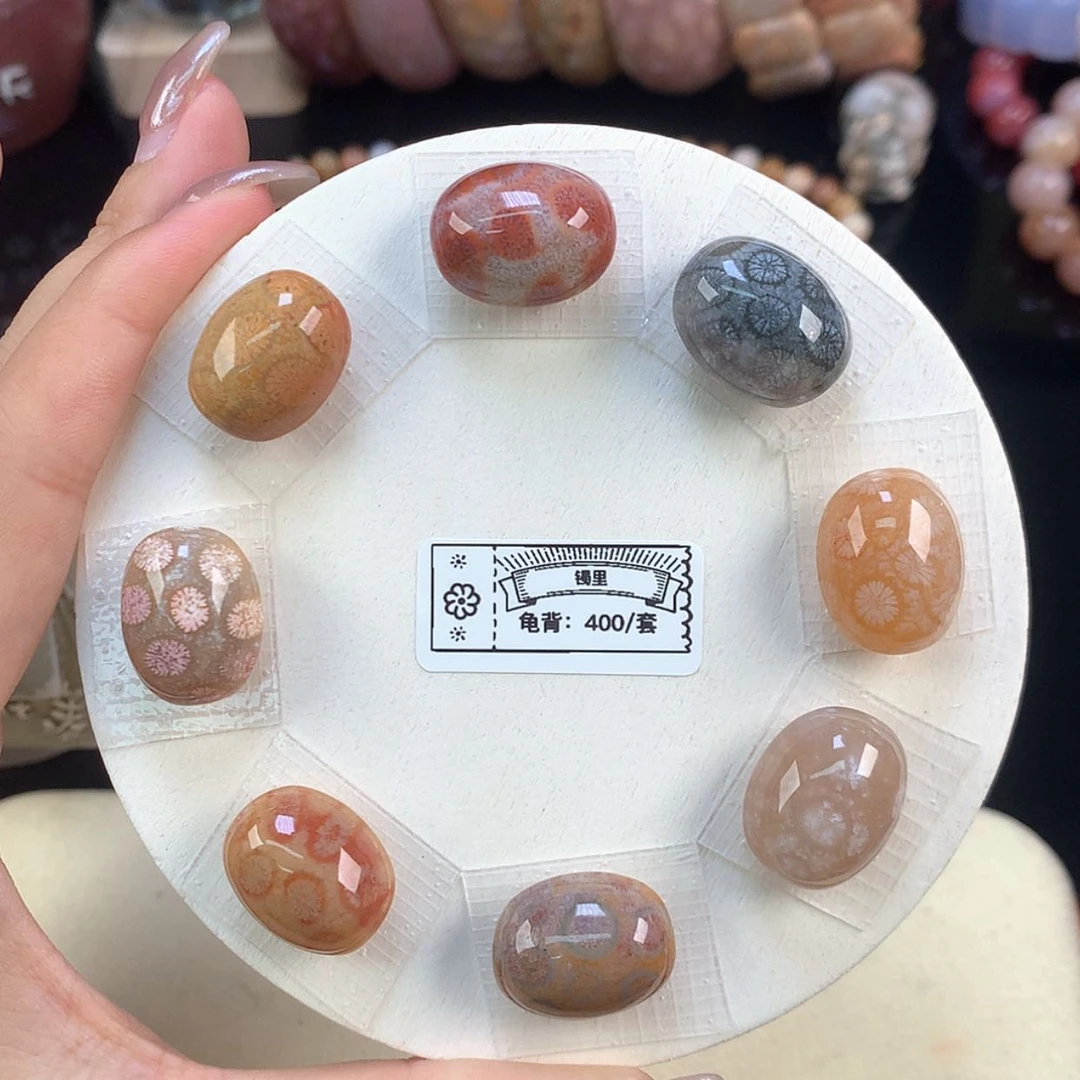 【闪购商品】颈饰未镶嵌硅化珊瑚（珊瑚玉）上新龟背套装（48号）
