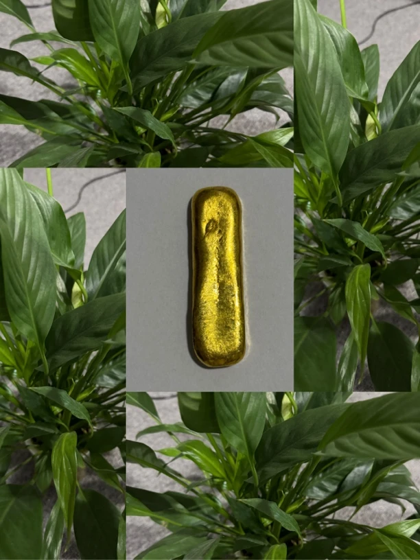 【三哥严选】高端精选摆件条多样性发其一