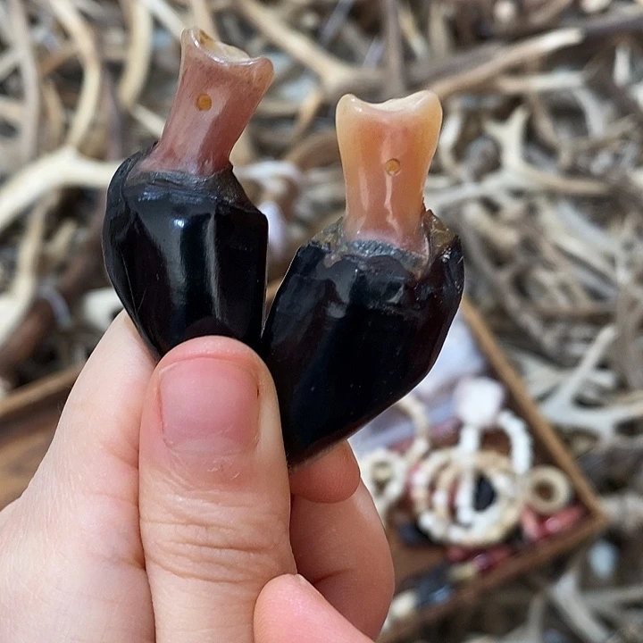 非金属鹿蹄鹿蹄鹿蹄