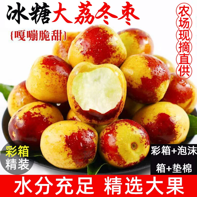 正宗陕西大荔冬枣新鲜脆甜水果现摘现发脆甜多汁