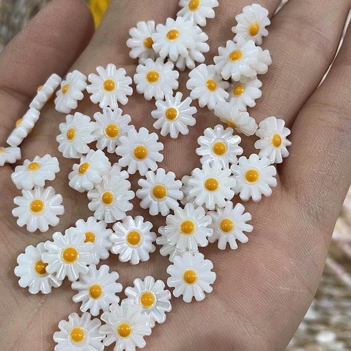 贝壳非金属5颗天然贝壳小雏菊