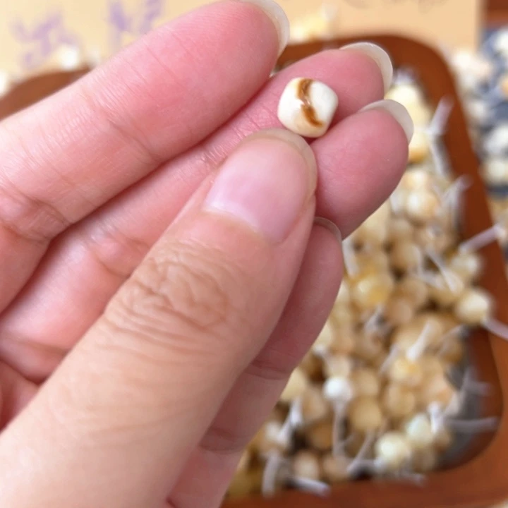 裸石蜜蜡未镶嵌7.2mm一个