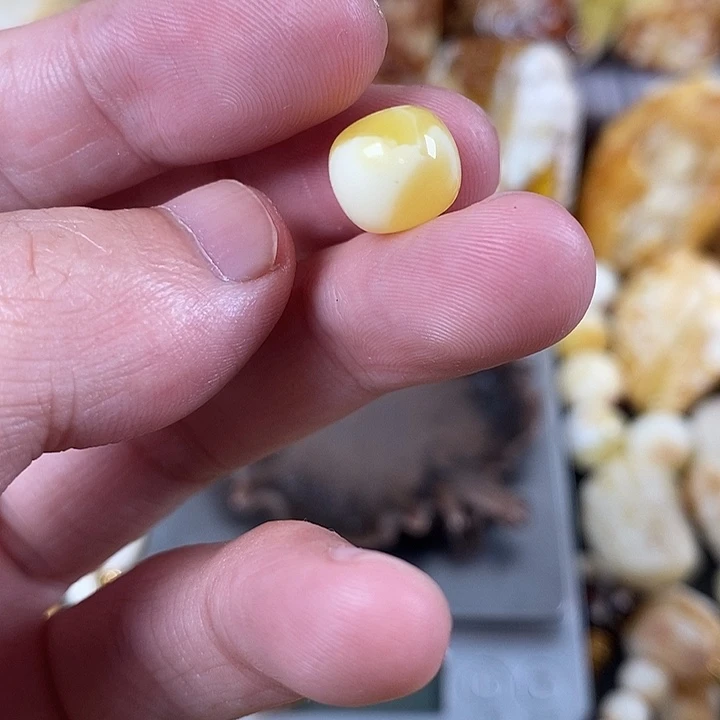 裸石琥珀未镶嵌我