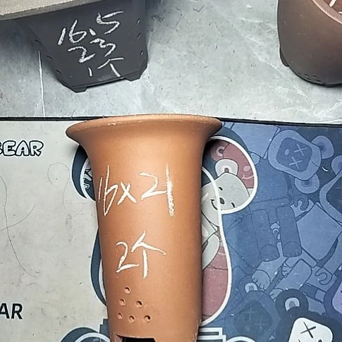 小红兰花两个微瑕