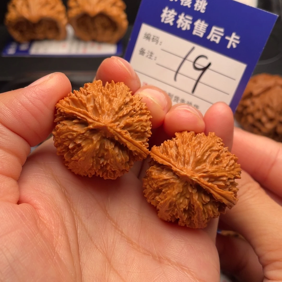 小***徐文玩核桃把件野生满天星33全品19号