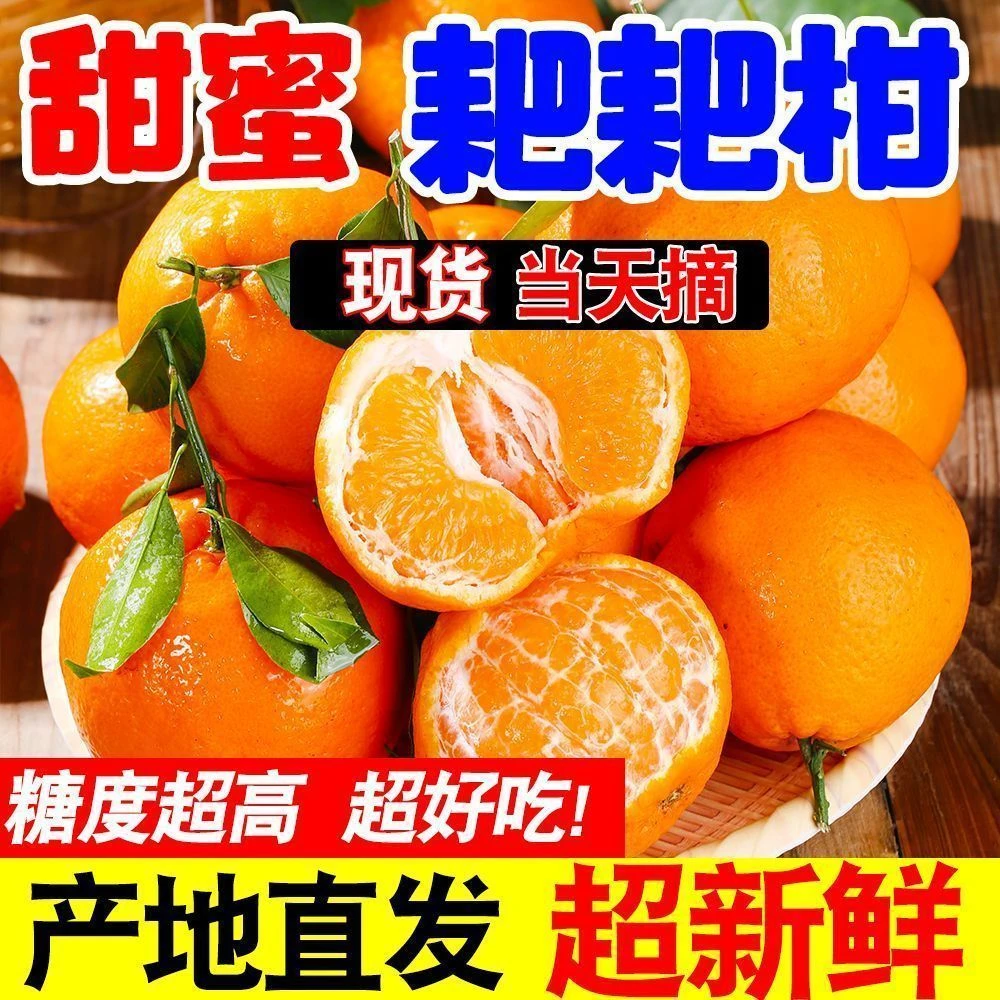 正宗耙耙柑当季新鲜水果橘子应当季孕妇水果产地直发香甜爆汁-DD