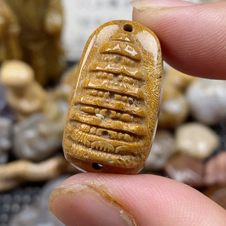 颈饰未镶嵌硅化珊瑚（珊瑚玉）小