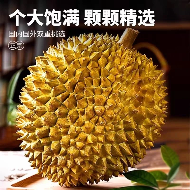 正宗金枕树上熟 鲜果带壳新鲜水果应季 释迦产地直发