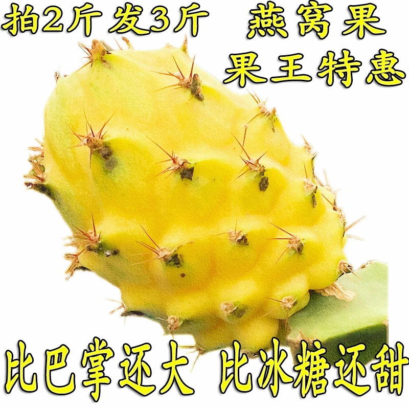 超大果王【拍2斤发3斤】麒麟果燕窝果非火龙果新鲜现摘现场称重
