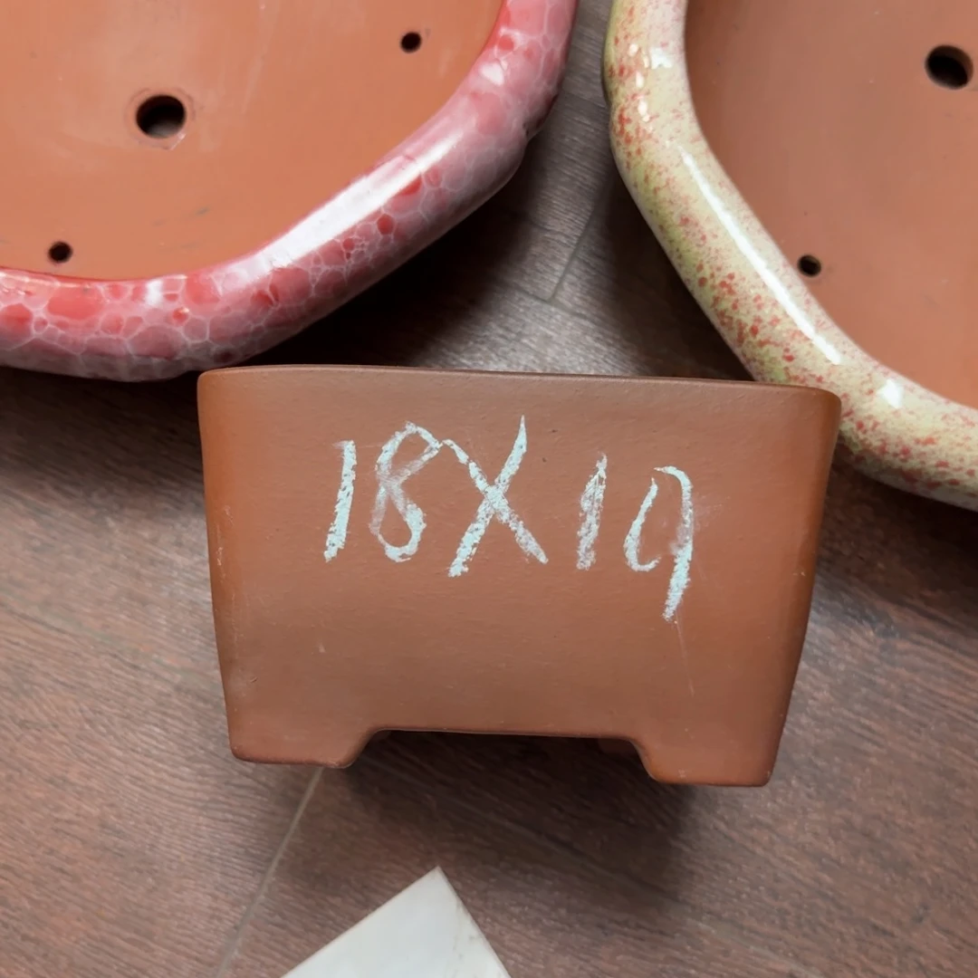 紫砂花盆我也不知道我