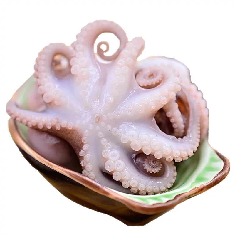 鲜活速冻八爪鱼爆头山东日照发货顺丰包邮