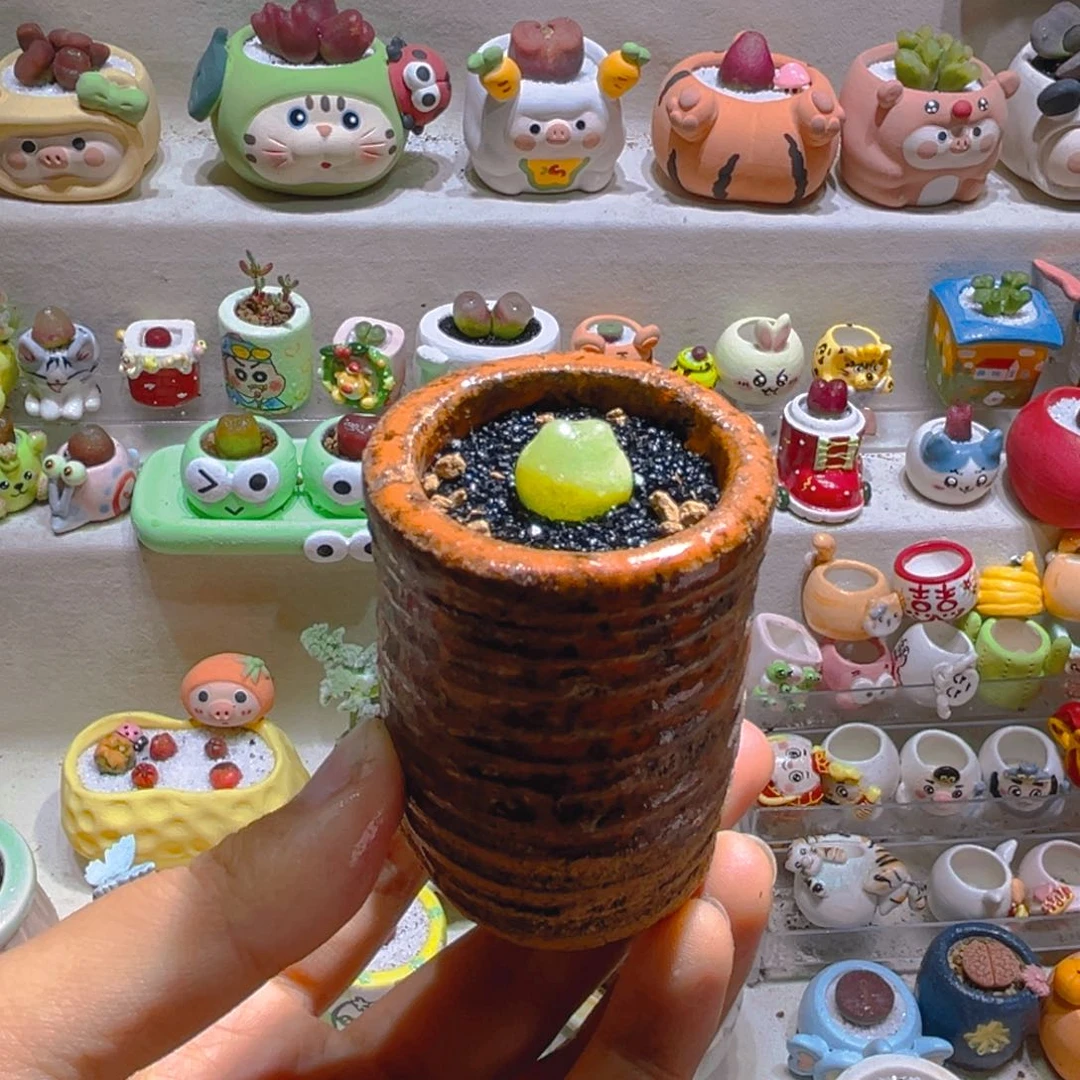 036拉登1.4厘米带盆土一套58