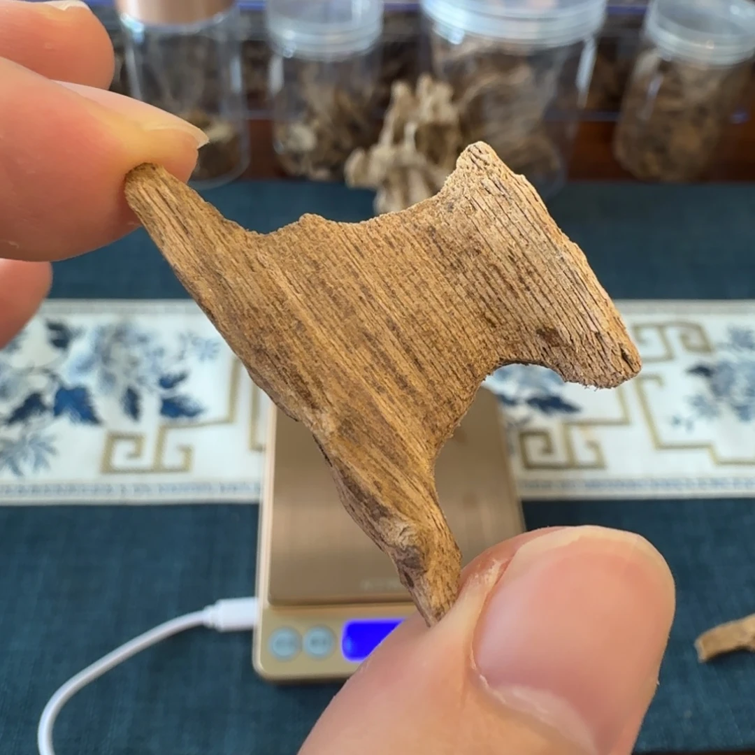沉香海南死鸡仔虫漏