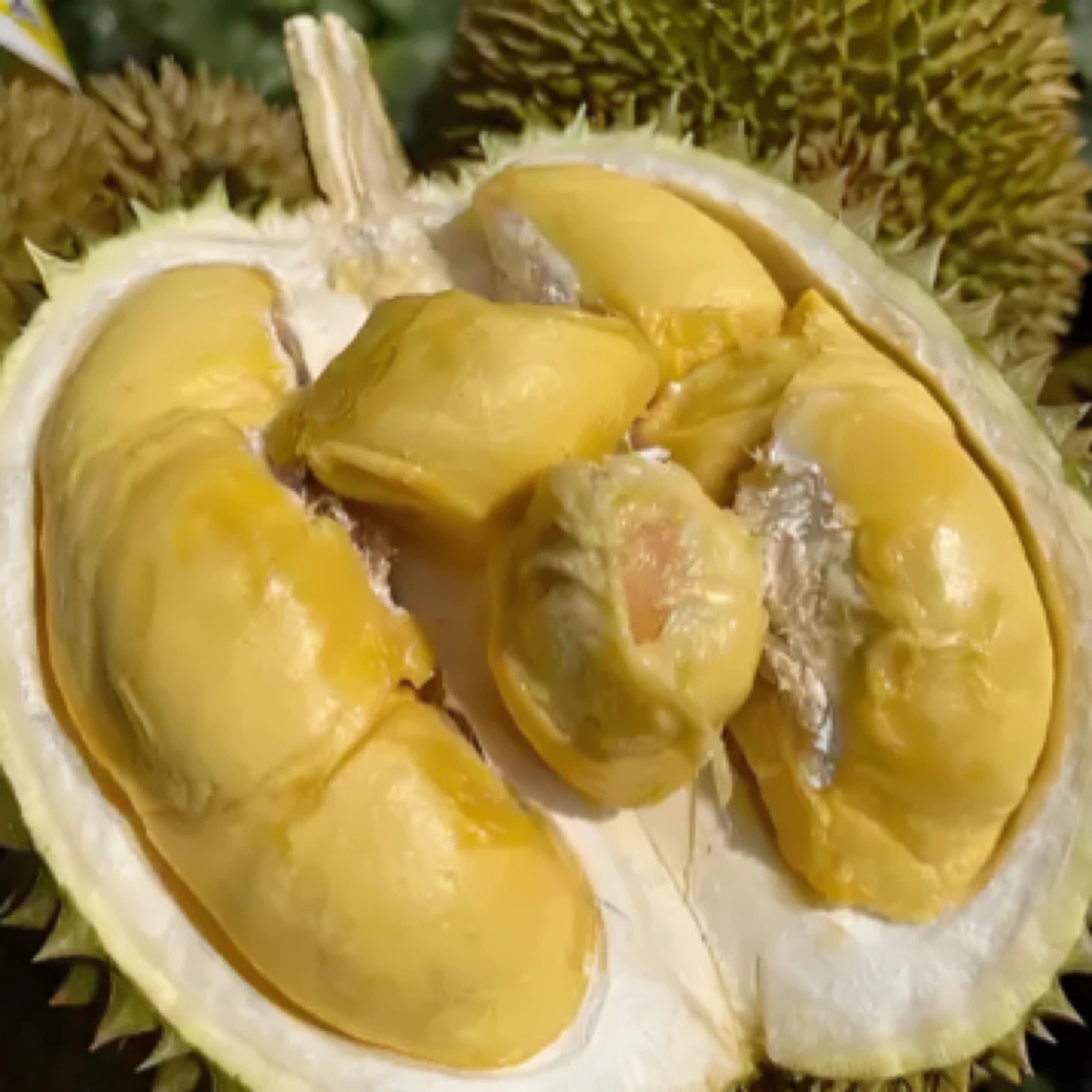 新鲜 泰国托曼尼【规格拍2-5斤大果保四房】注意⚠️核大品种榴莲托曼尼泰国