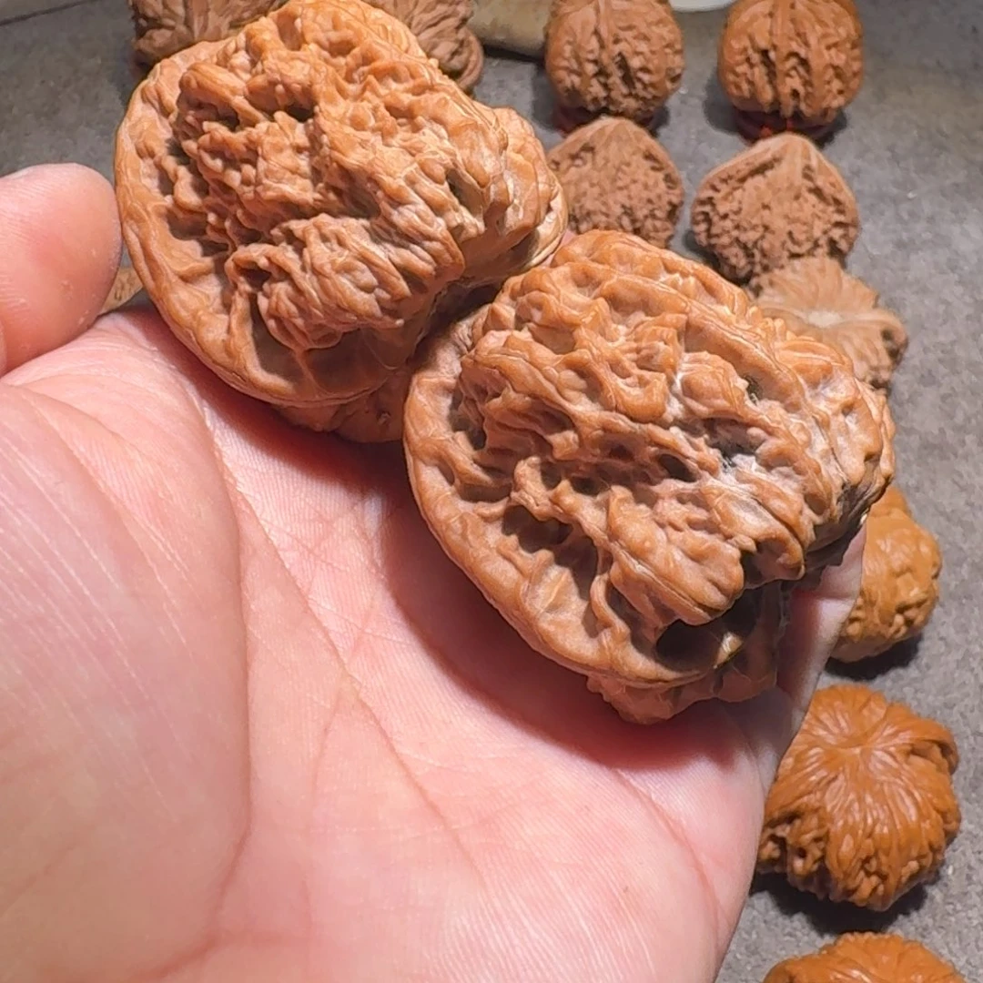 核桃45三角金蟾王