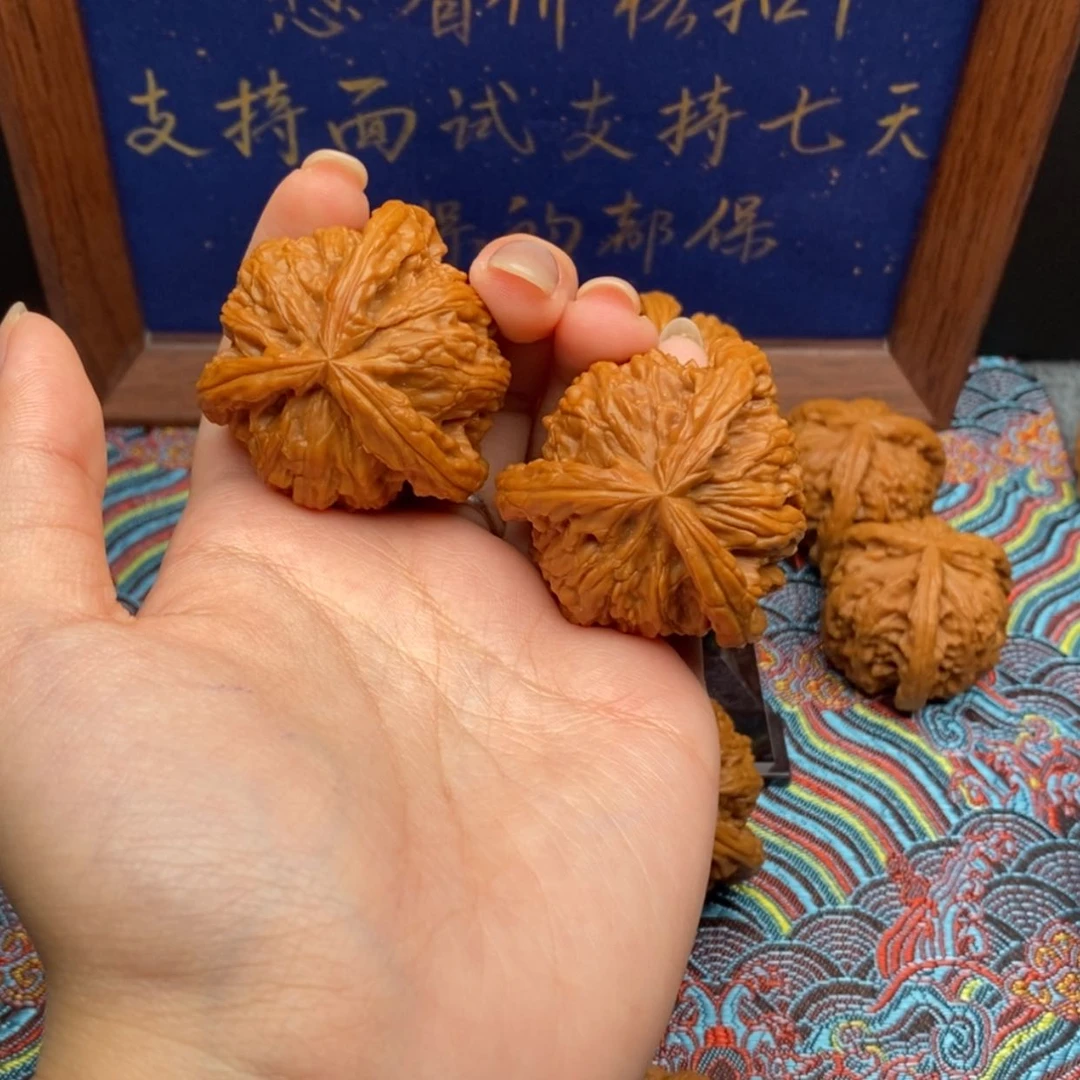 【闪购商品】崆*白狮