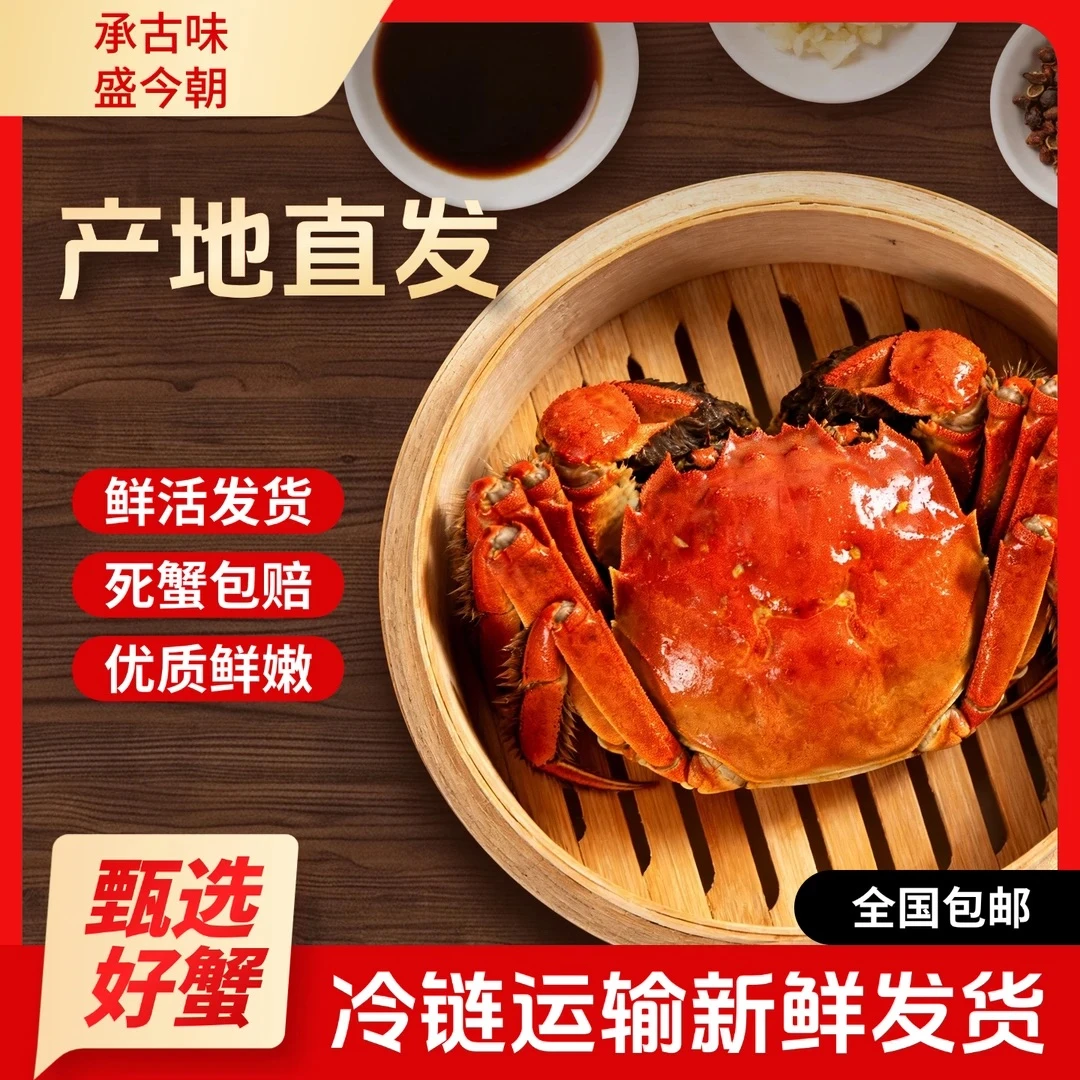 【活蟹现发新】江苏精品全母蟹鲜活2两/8送2只蟹全母现捞鲜活