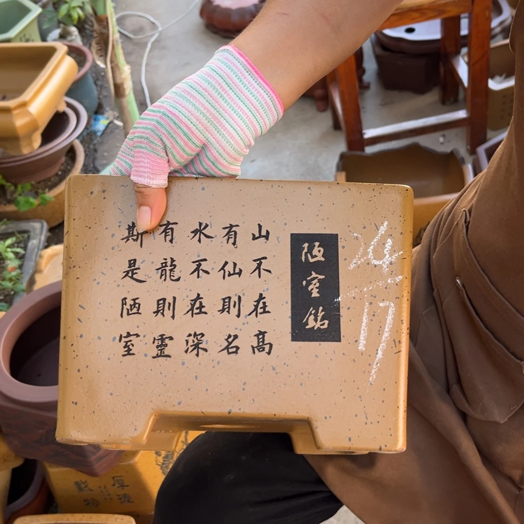 紫砂花盆盆景艺术