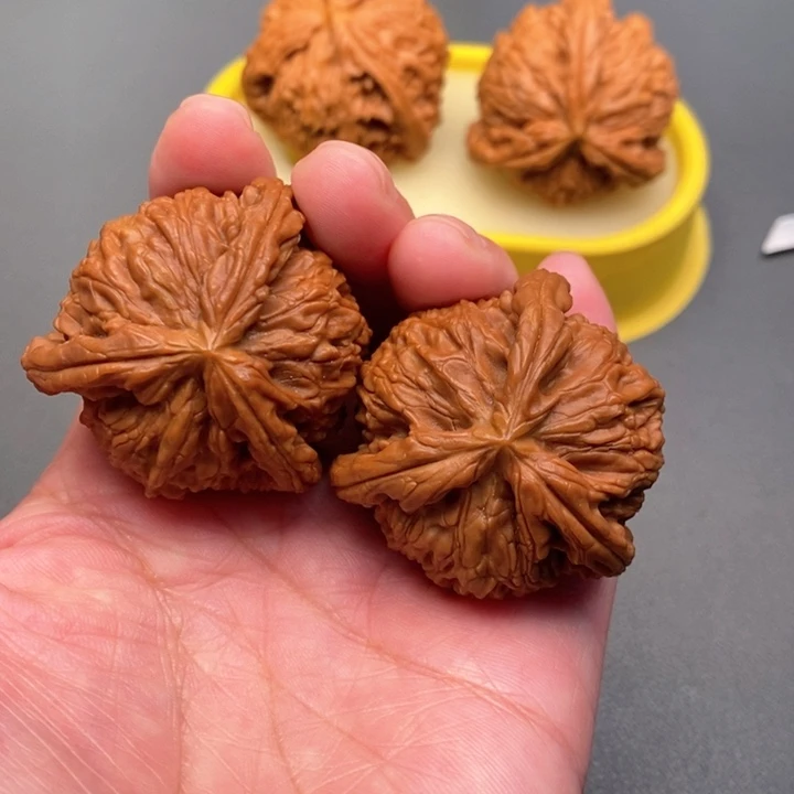 木质类星**烂核桃核桃