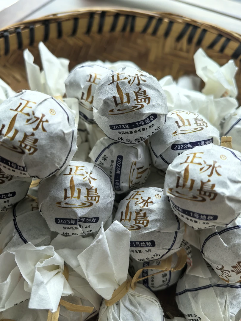 【冰岛老寨64号】2023年1号地秋茶龙珠