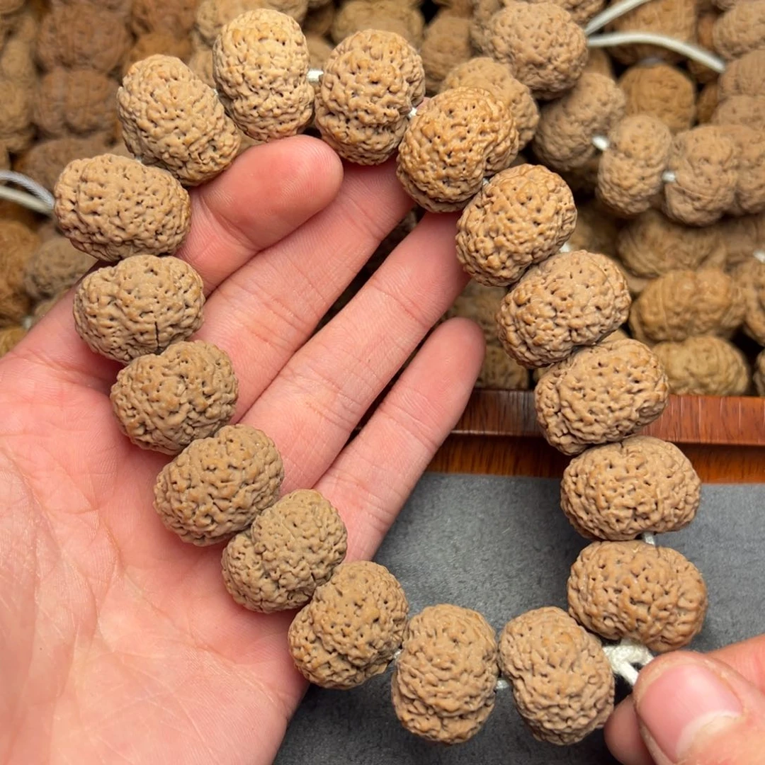 菩提5号尼泊尔大金刚20-21夹板菠萝蜜