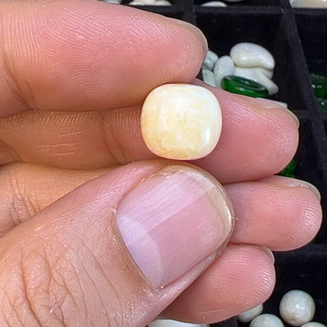 ****茶树脂制品11海胖脑单珠