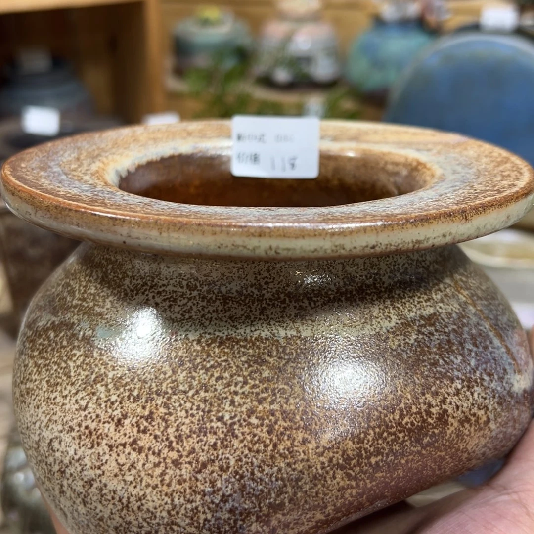 妮***子1987花盆新中式086