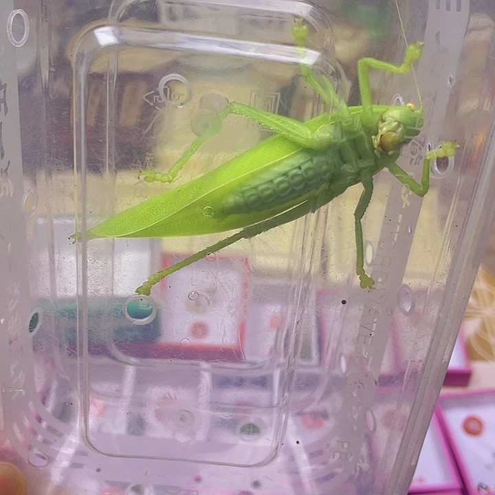 a***e布鲁纳盒子啊啊啊啊