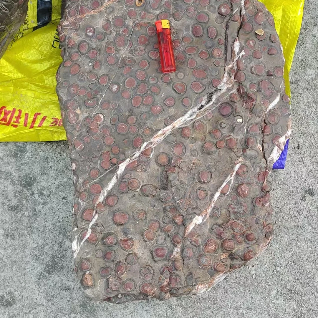 贵州奇石古铜石画画石红梅石各类化石珊瑚石贵州贵翠玉
