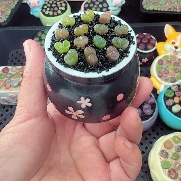 583零下地区记得拍保温箱