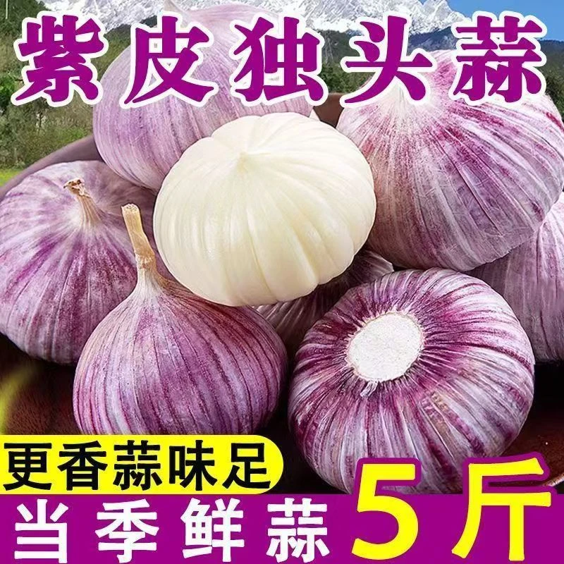 【新鲜独蒜】2025正宗独头蒜紫皮独蒜红皮大蒜头新鲜现挖大蒜湿蒜