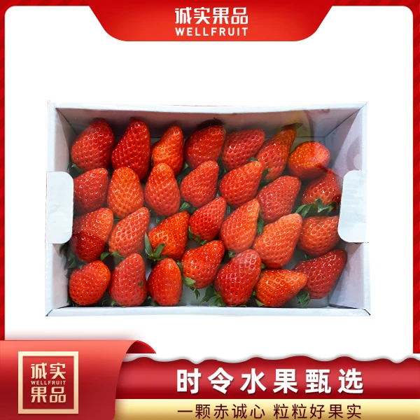 招牌-上海章姬草莓1盒净重1斤起（多规格点击抢购自选）【自然熟】章姬草莓