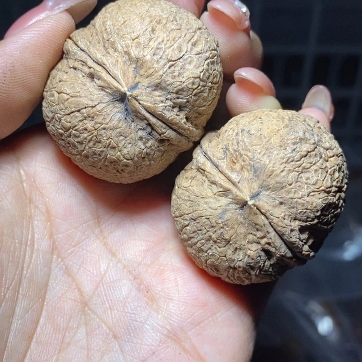 核桃云南野生铁核桃86号38mm
