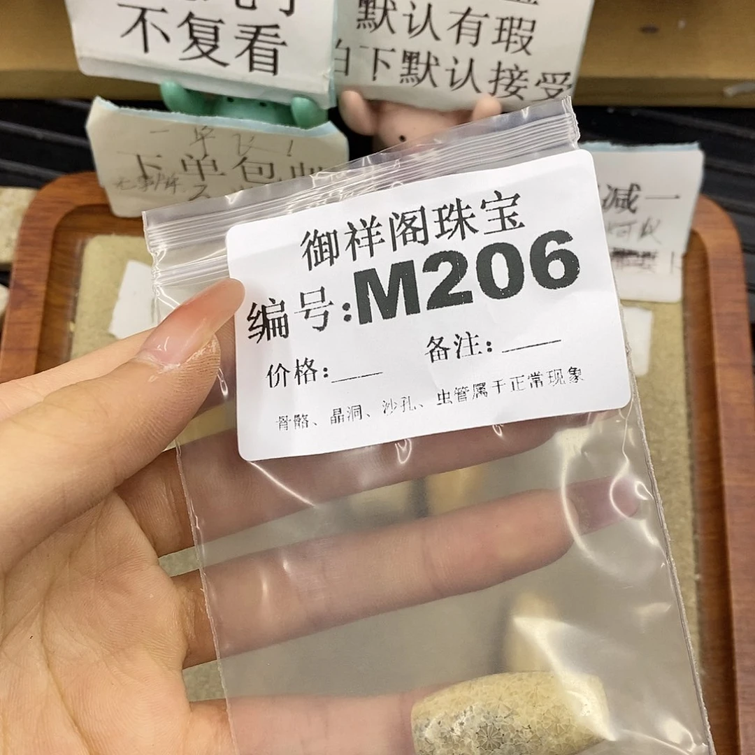 硅化珊瑚（珊瑚玉）未镶嵌颈饰D****?