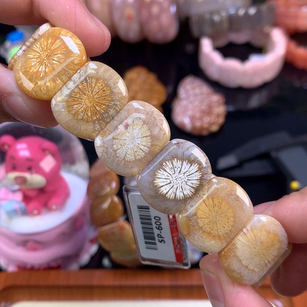 【闪购商品】颈饰未镶嵌硅化珊瑚（珊瑚玉）36号一枝独秀的大皮花
