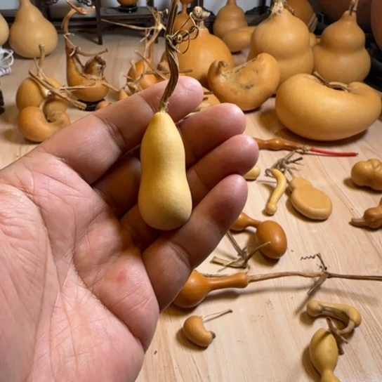 我们的生活也是如此的丰富多彩