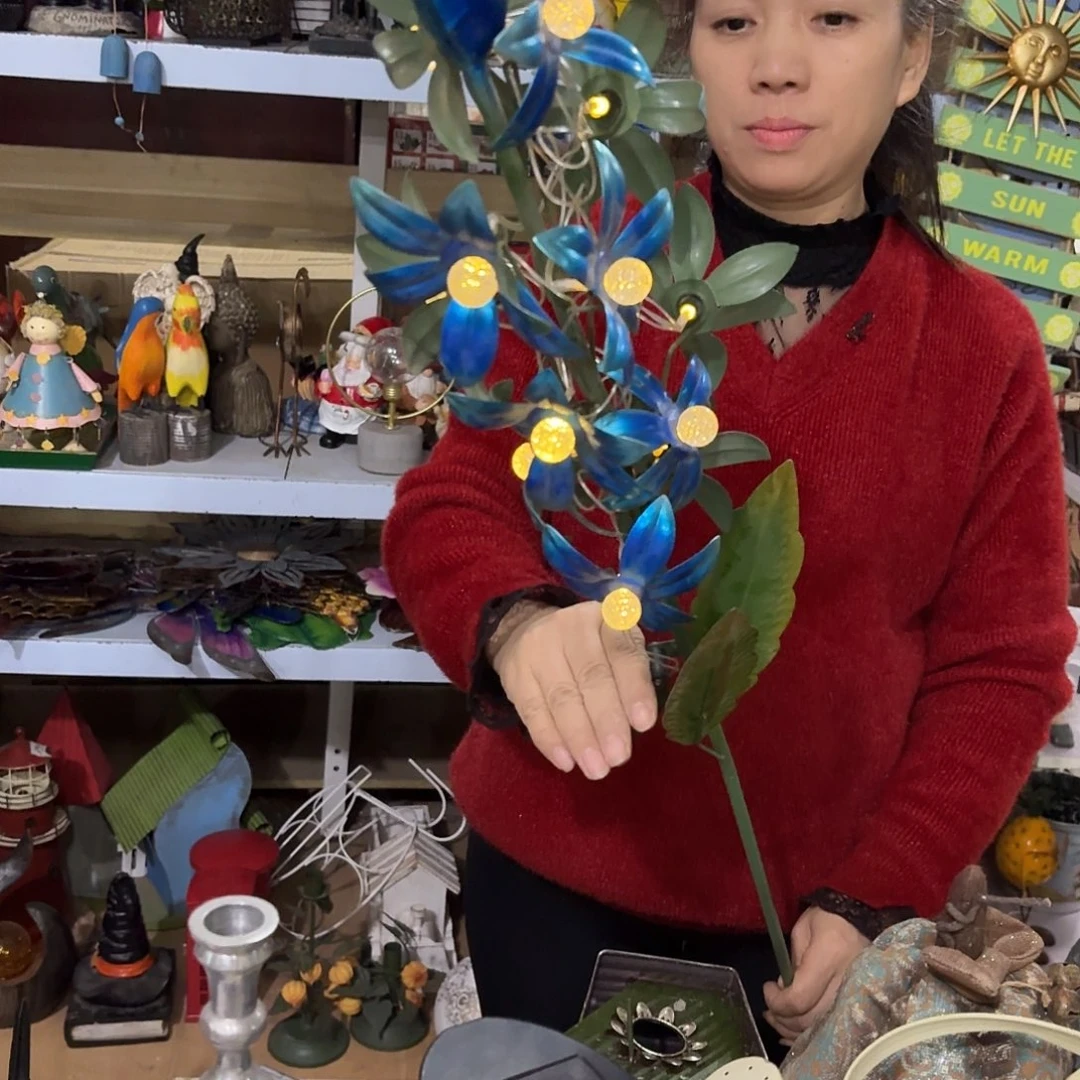 核桃木/黑胡桃（胡桃木）