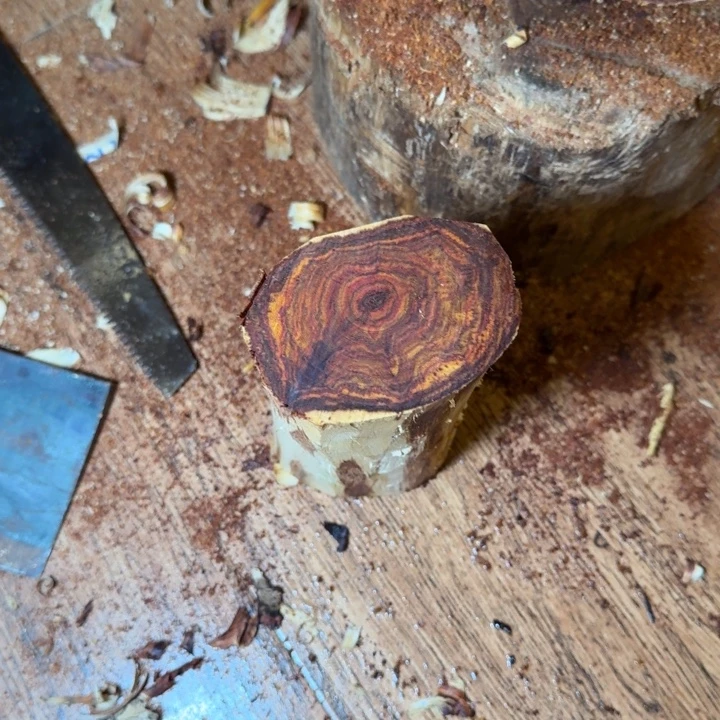 李***卫木海南，海北飞灰尘。甘受商于仪诳楚