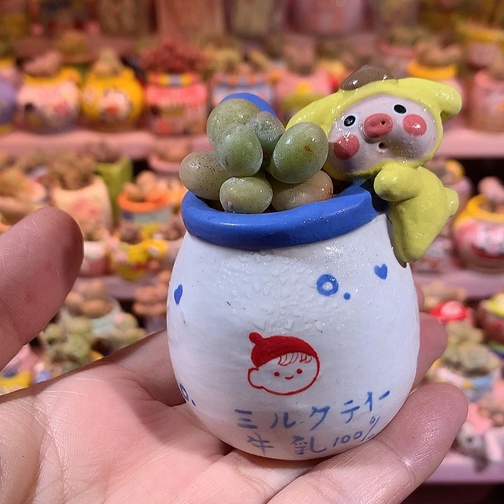 韩国正版鸡蛋奶带盆
