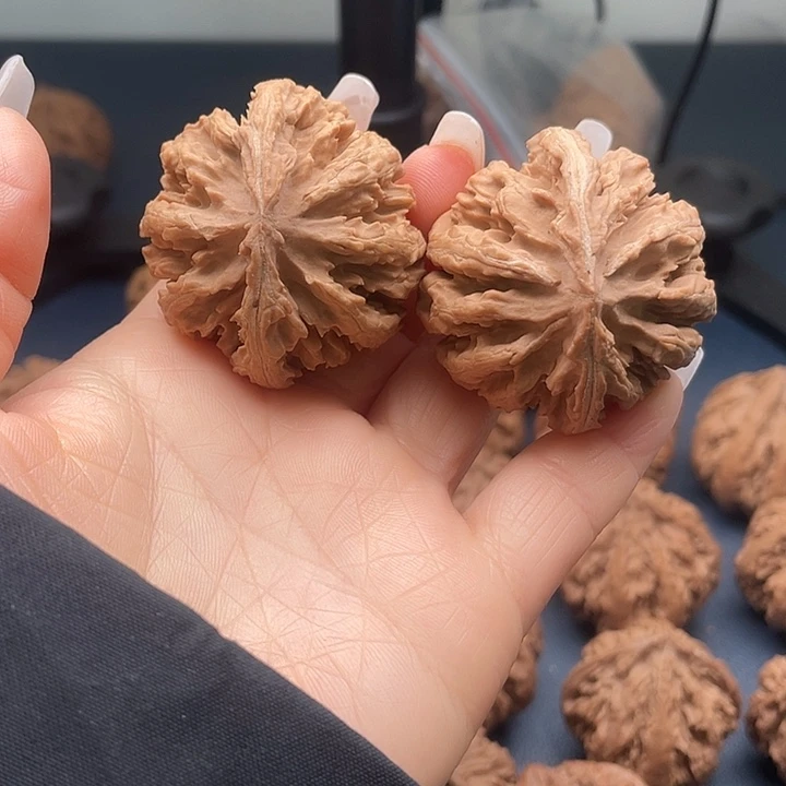 用***7把件龙脊菩提秦岭核桃