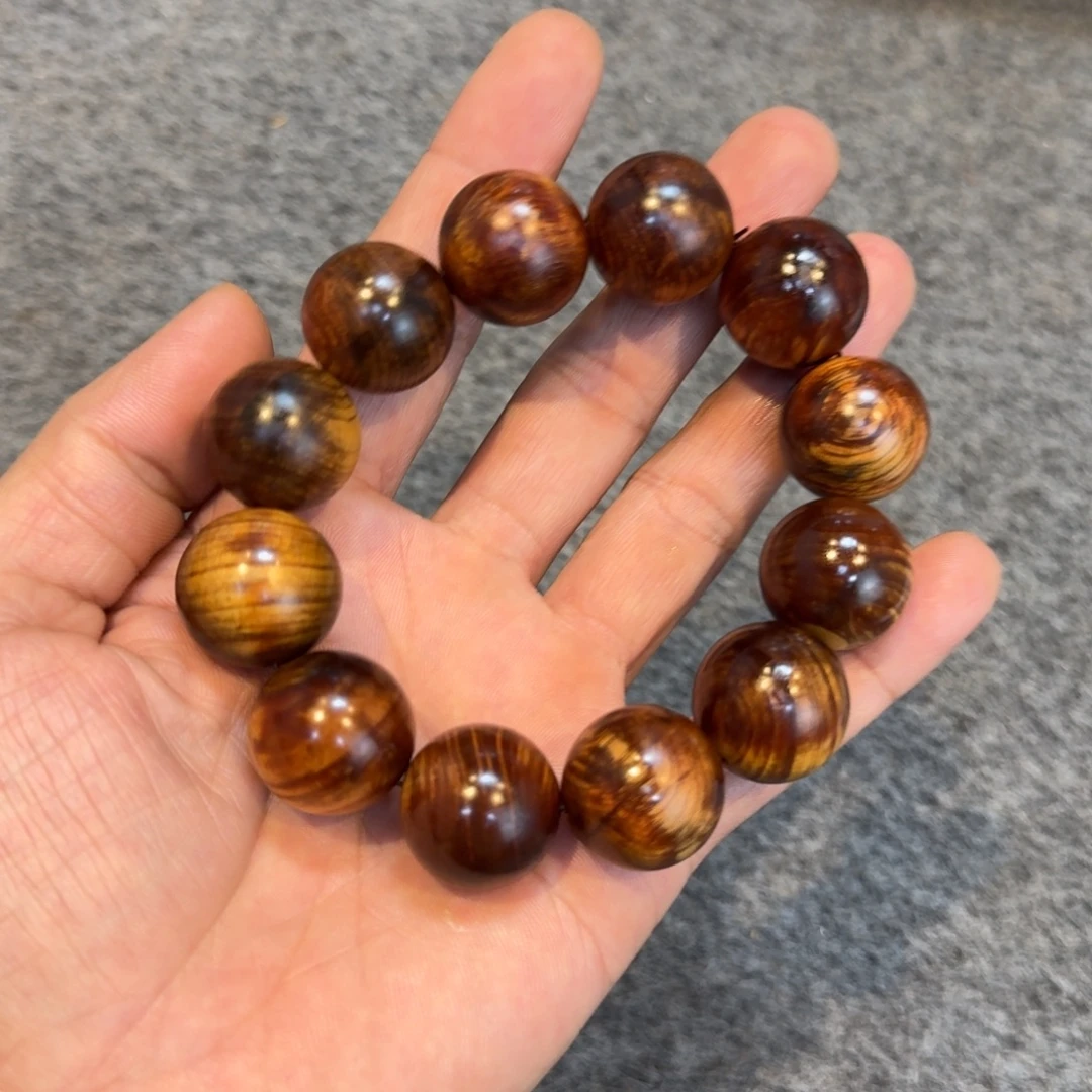 柏木（崖柏）崖柏111111111