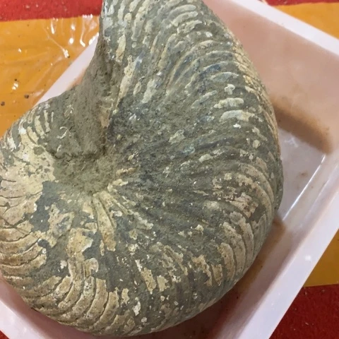 合成树脂家具设计装修风格